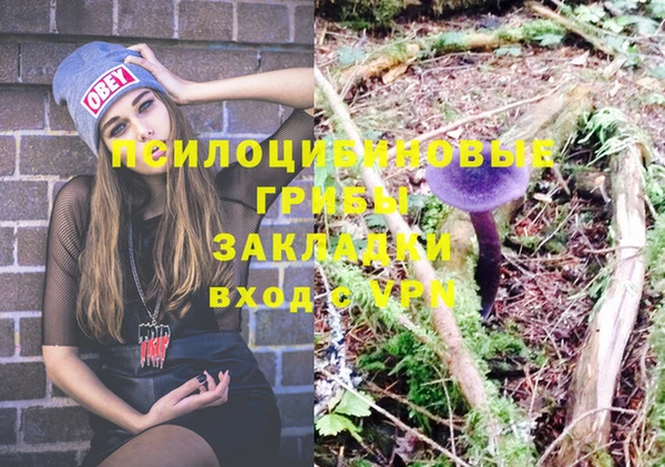 кокс Белокуриха