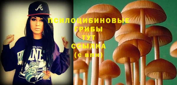 кокс Белокуриха