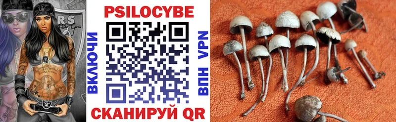 дарнет шоп  Воркута  Псилоцибиновые грибы Psilocybine cubensis 